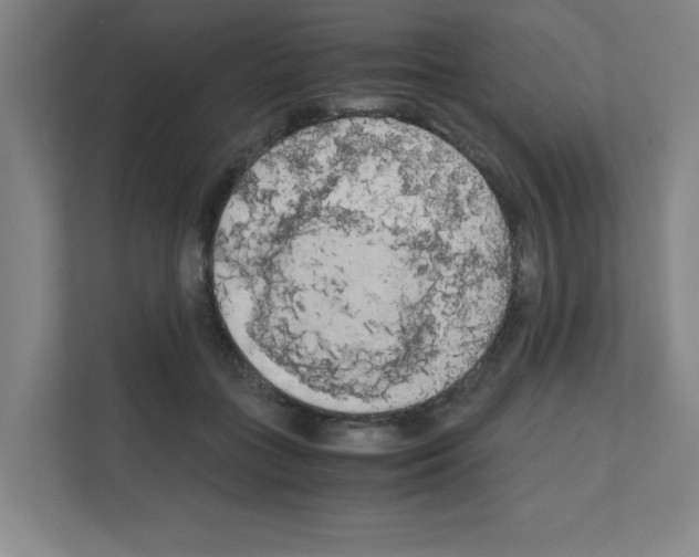 X0000111150555200908111136