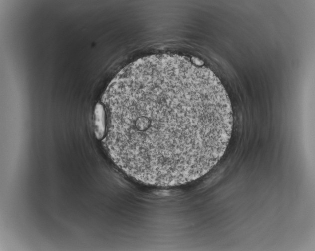 X0000111150558200908111136