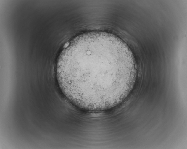 X0000111150560200908111136