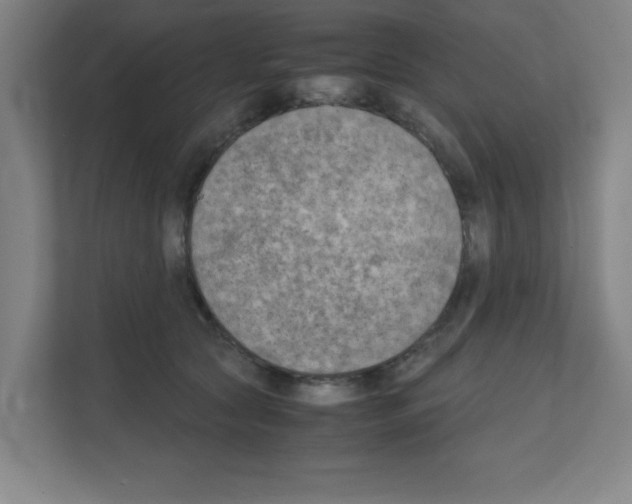 X0000111150561200908111136