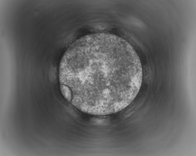 X0000111150563200908111136