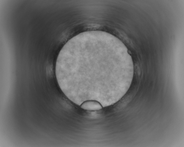 X0000111150564200908111136