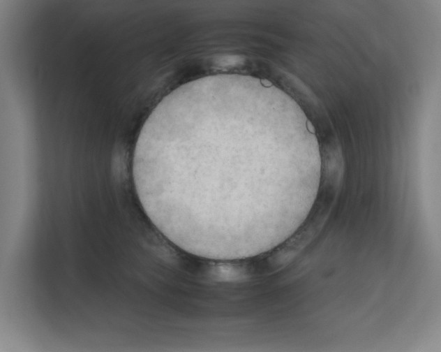 X0000111150565200908111136