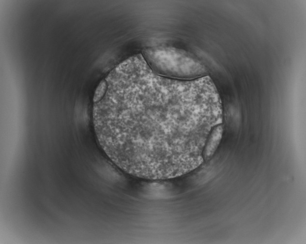 X0000111150566200908111136