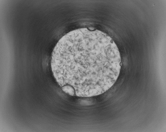 X0000111150567200908111136