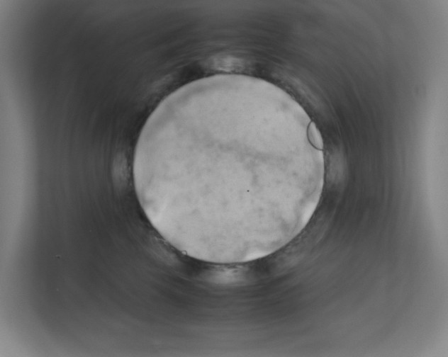 X0000111150569200908111136