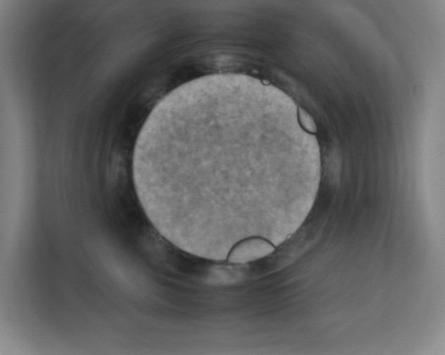 X0000111150571200908111136