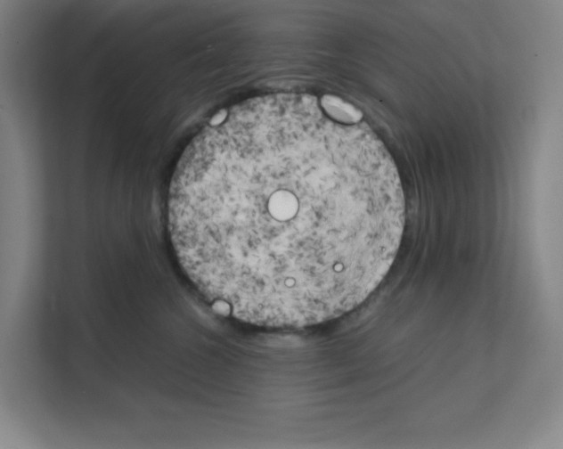 X0000111150572200908111136