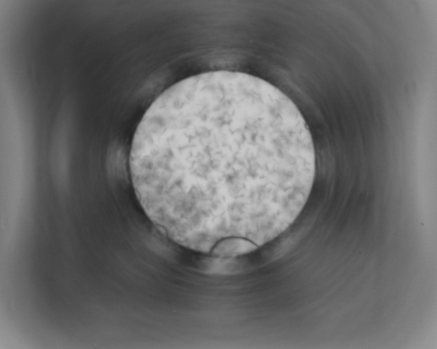 X0000111150575200908111136