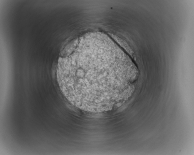 X0000111150576200908111136