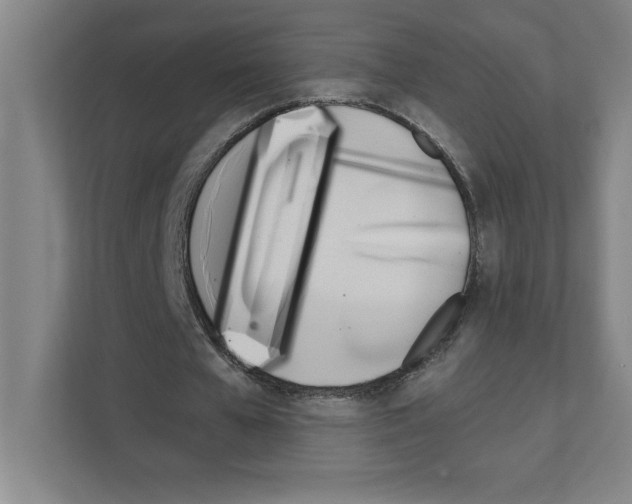 X0000111150577200908111136