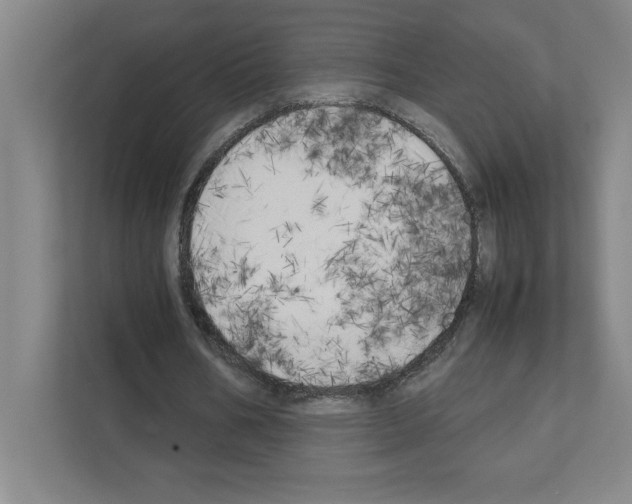 X0000111150578200908111136