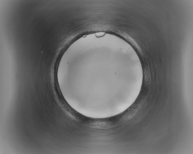 X0000111150581200908111135