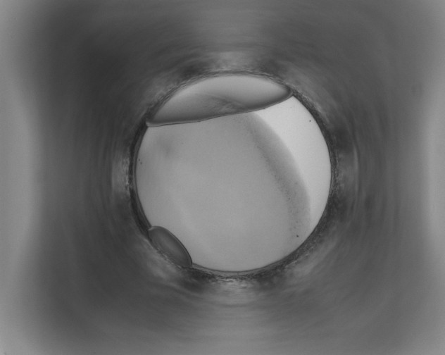 X0000111150585200908111135