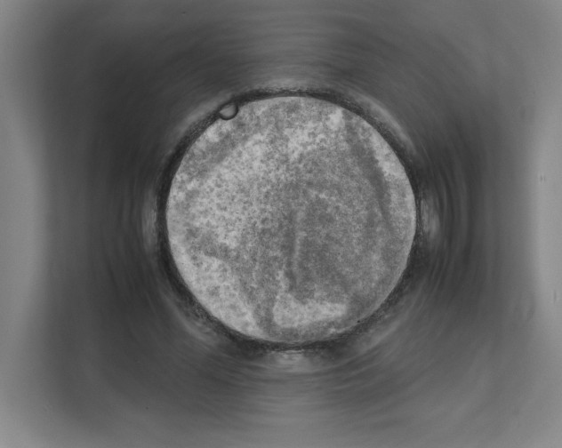 X0000111150588200908111135