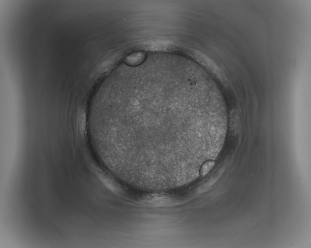 X0000111150589200908111135