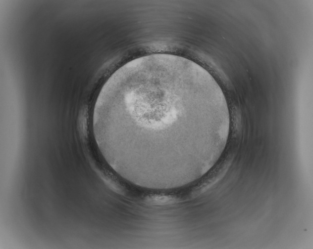 X0000111150590200908111135