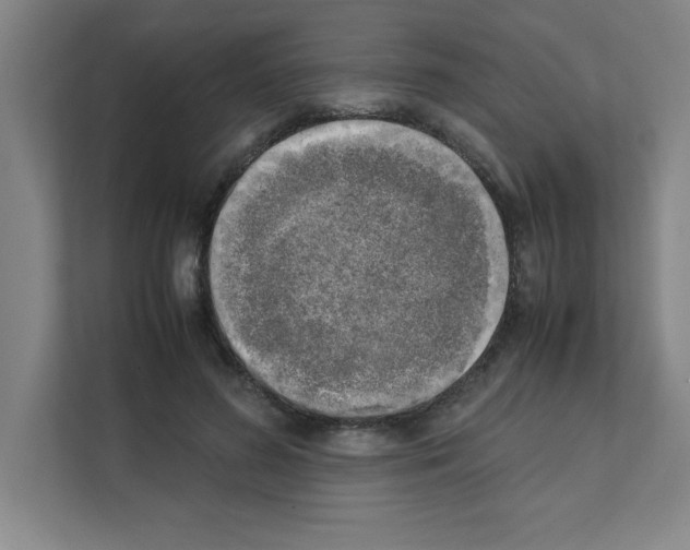 X0000111150596200908111135