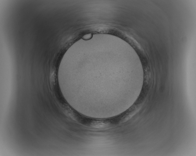 X0000111150597200908111135