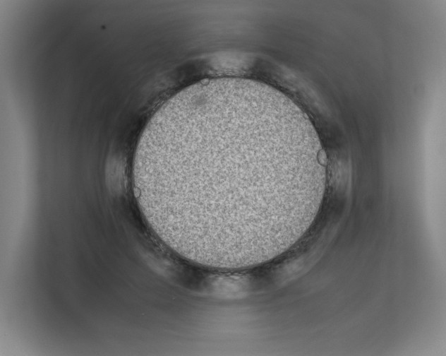 X0000111150599200908111135