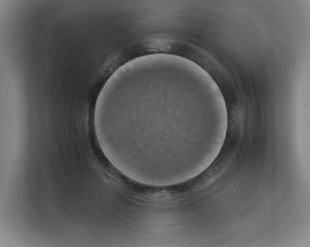 X0000111150600200908111135