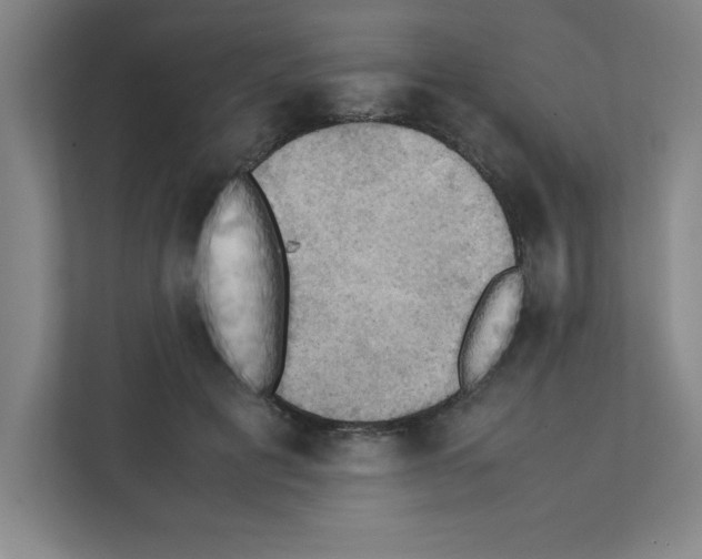 X0000111150601200908111135