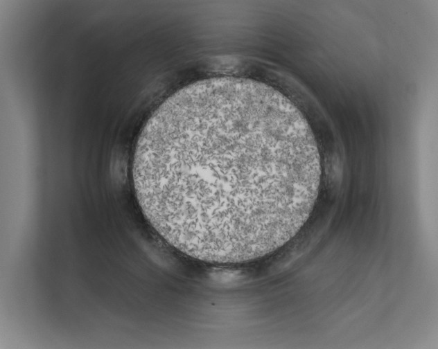 X0000111150602200908111135