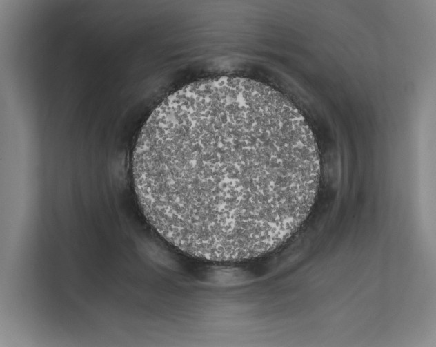 X0000111150605200908111135