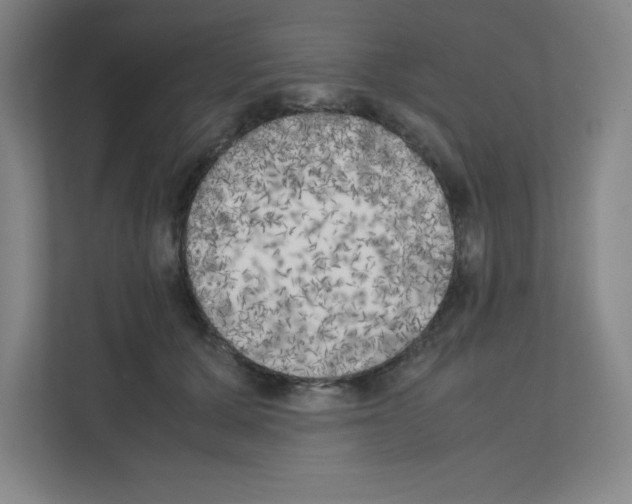 X0000111150607200908111135