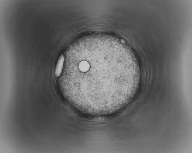 X0000111150609200908111135