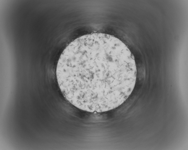 X0000111150613200908111135