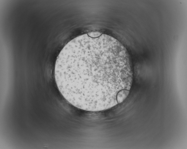 X0000111150615200908111135