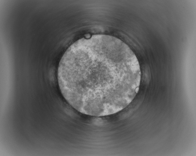 X0000111150616200908111135