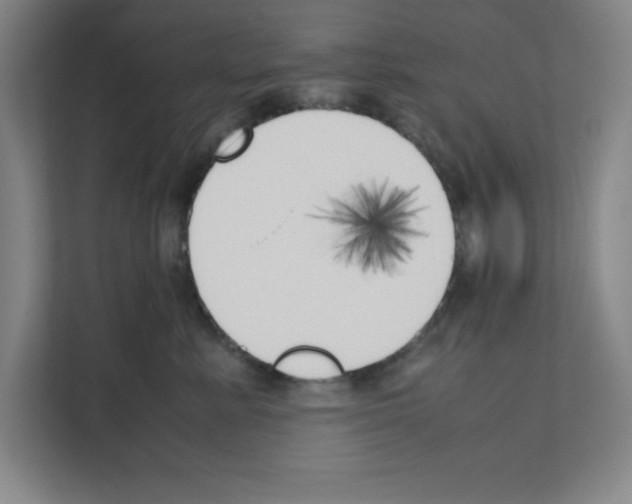 X0000111150619200908111135