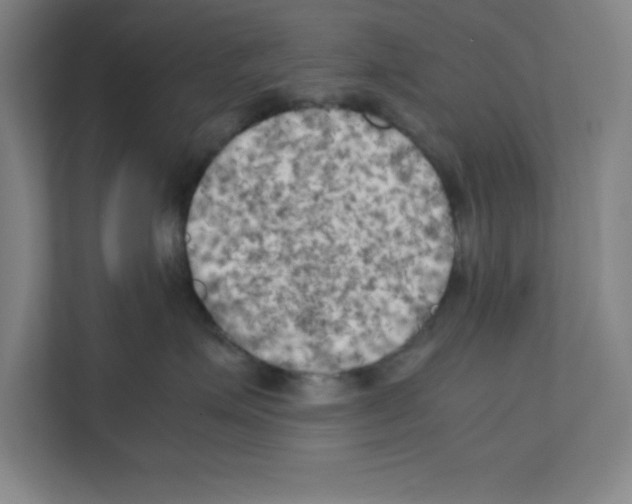 X0000111150623200908111135