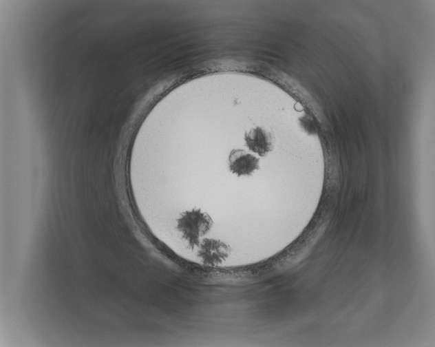 X0000111150625200908111134