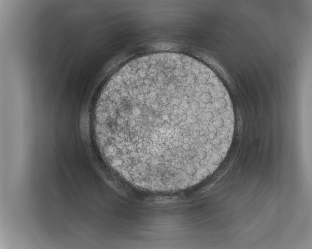 X0000111150626200908111134