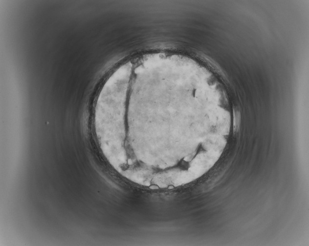 X0000111150627200908111134