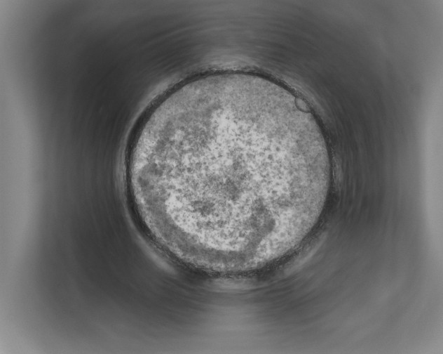 X0000111150630200908111134