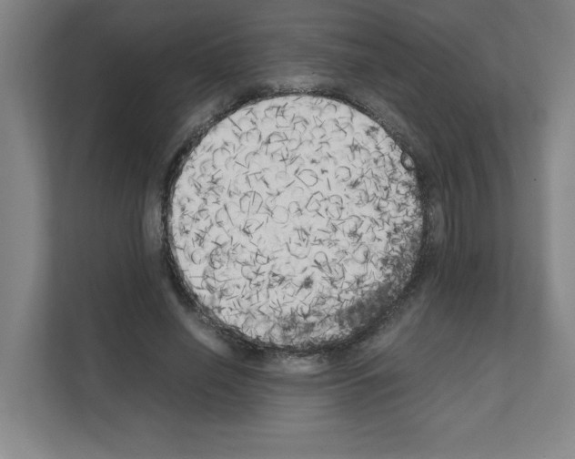 X0000111150638200908111134