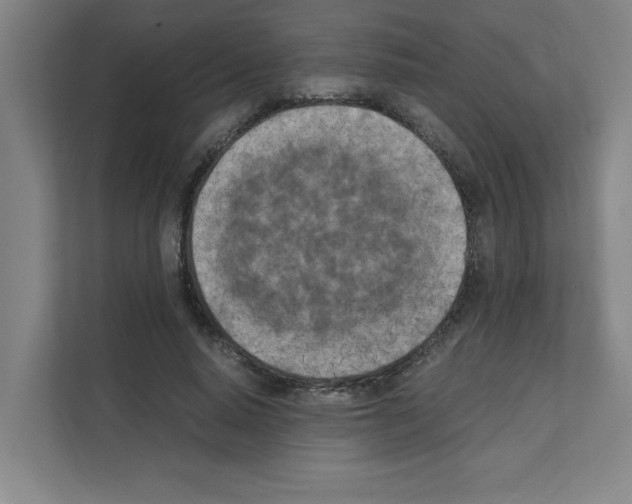 X0000111150640200908111135