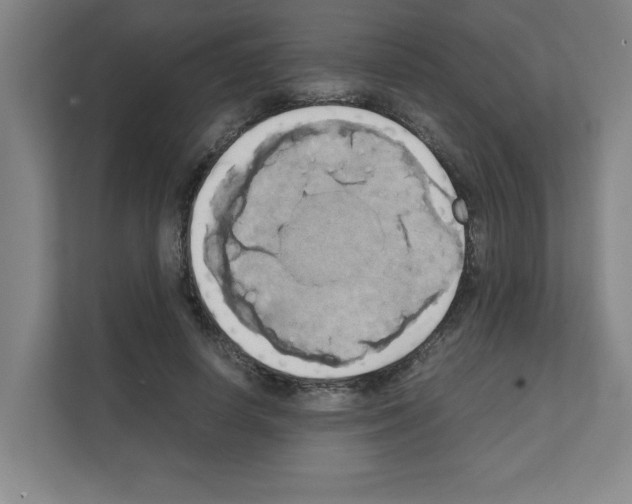 X0000111150642200908111135