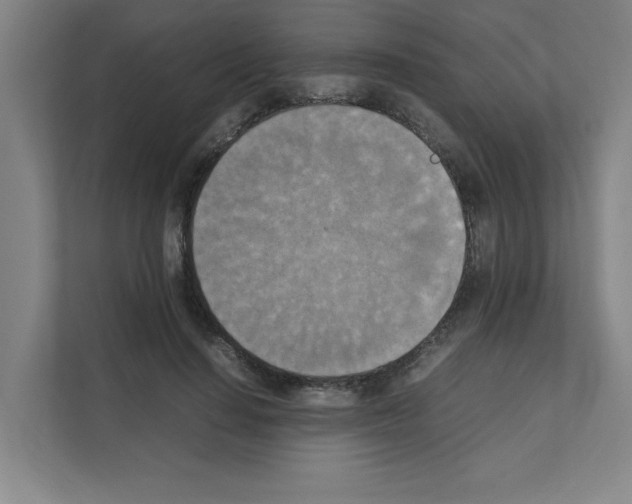 X0000111150644200908111135