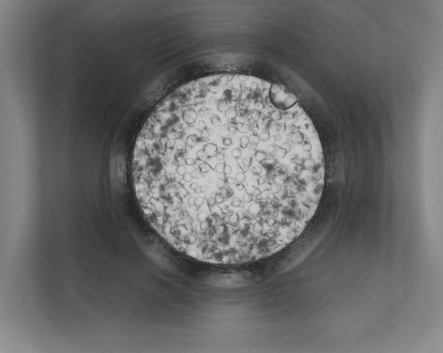 X0000111150646200908111135