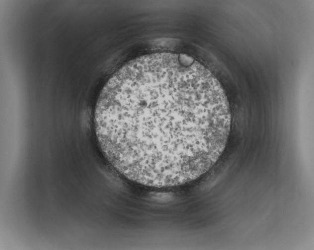 X0000111150649200908111135