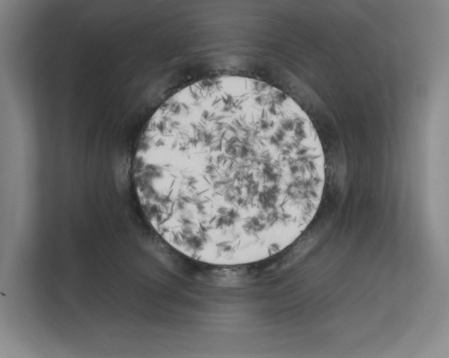 X0000111150660200908111135