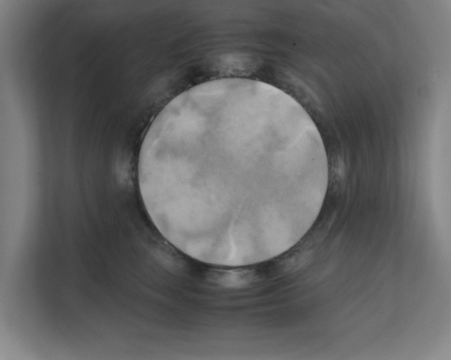 X0000111150663200908111135