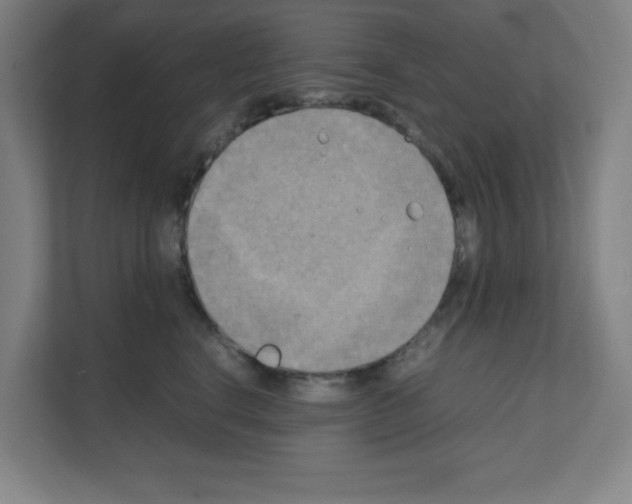 X0000111150664200908111135