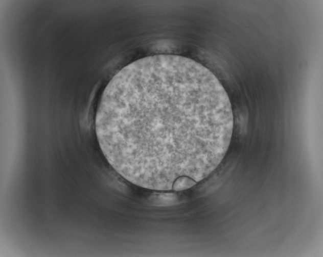 X0000111150665200908111135