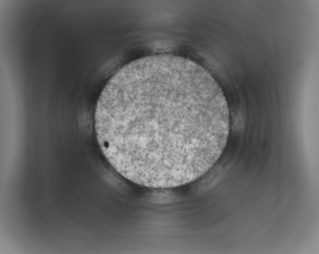 X0000111150666200908111135